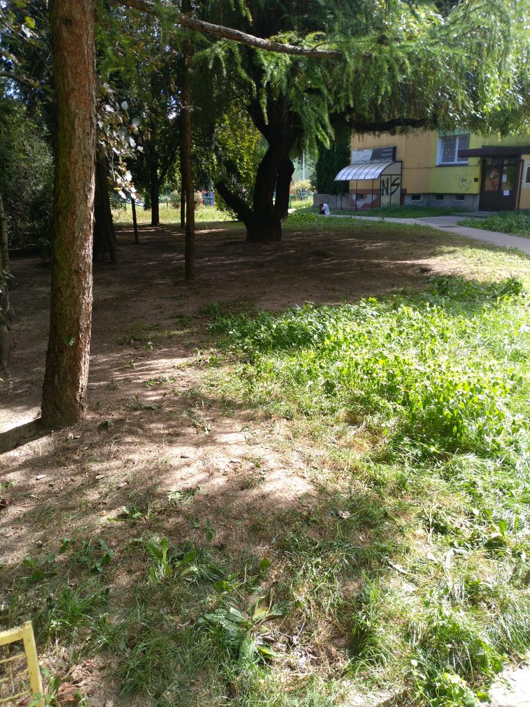 Szczotka Zmiotka Sprzątanie Osiedli Budynków Biur Odśnieżanie