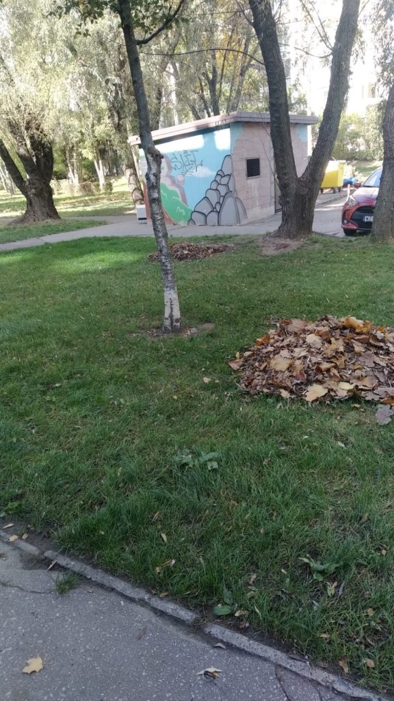 Szczotka Zmiotka Sprzątanie Osiedli Budynków Biur Odśnieżanie