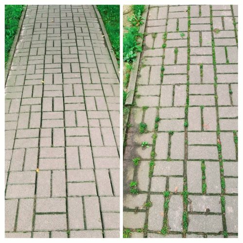 20220331_160143-COLLAGE~2