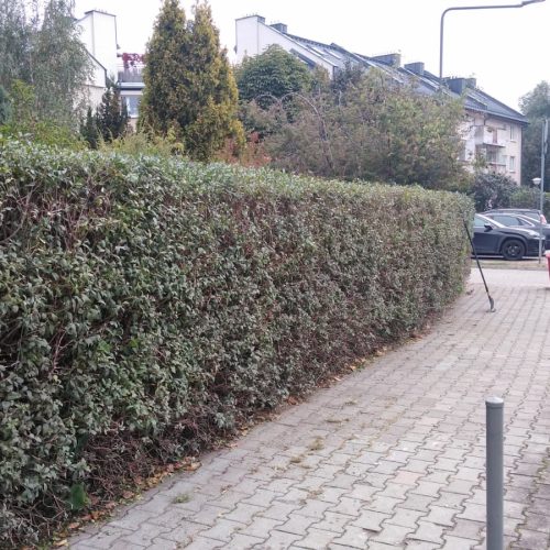 Szczotka Zmiotka Sprzątanie Osiedli Budynków Biur Odśnieżanie