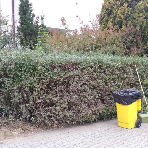 Szczotka Zmiotka Sprzątanie Osiedli Budynków Biur Odśnieżanie