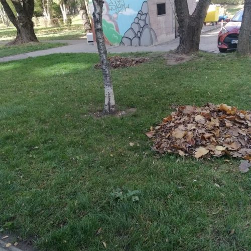 Szczotka Zmiotka Sprzątanie Osiedli Budynków Biur Odśnieżanie
