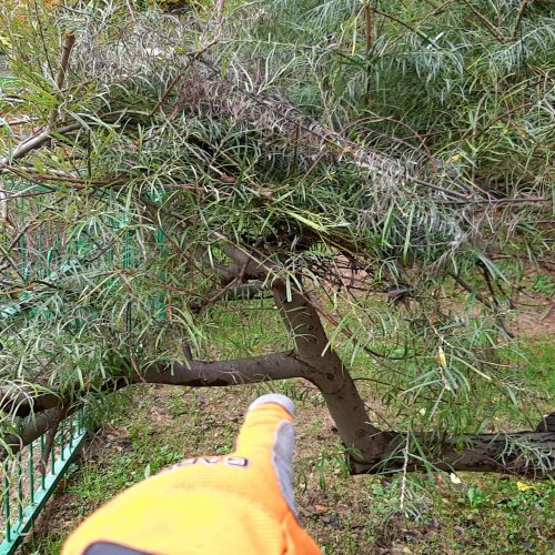 Szczotka Zmiotka Sprzątanie Osiedli Budynków Biur Odśnieżanie