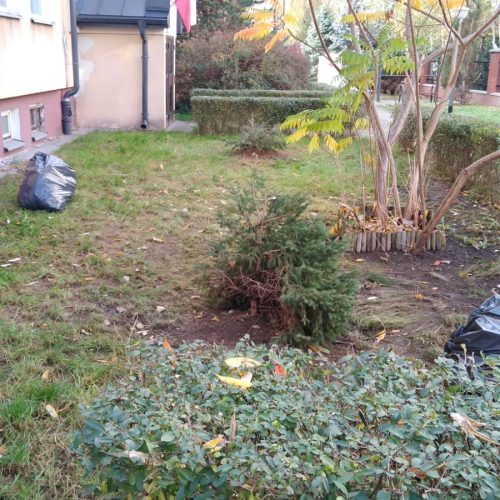 Szczotka Zmiotka Sprzątanie Osiedli Budynków Biur Odśnieżanie