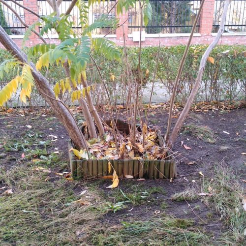 Szczotka Zmiotka Sprzątanie Osiedli Budynków Biur Odśnieżanie