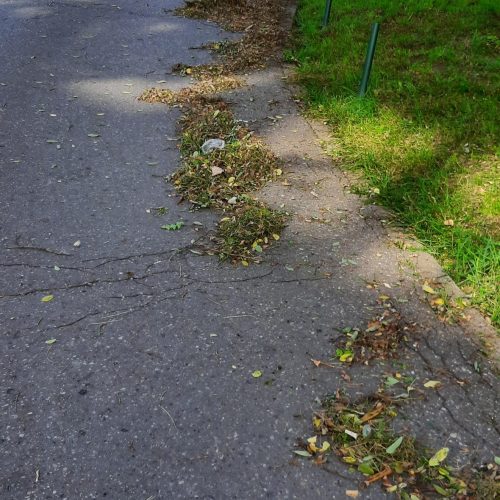 Szczotka Zmiotka Sprzątanie Osiedli Budynków Biur Odśnieżanie