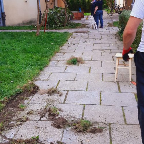 Szczotka Zmiotka Sprzątanie Osiedli Budynków Biur Odśnieżanie