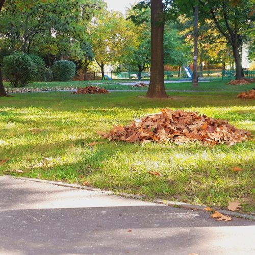 Szczotka Zmiotka Sprzątanie Osiedli Budynków Biur Odśnieżanie