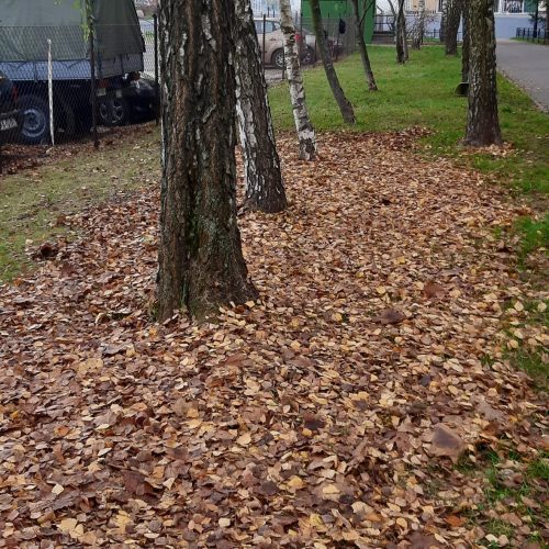 Szczotka Zmiotka Sprzątanie Osiedli Budynków Biur Odśnieżanie