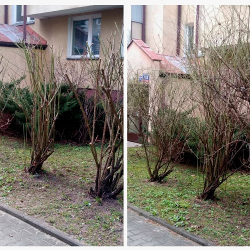 Szczotka Zmiotka Sprzątanie Osiedli Budynków Biur Odśnieżanie